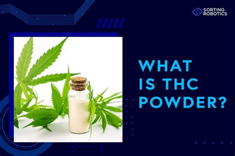 What Is Thc Powder Benefits Uses And How It Works