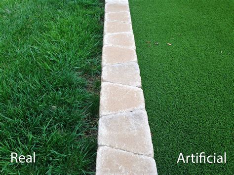 What Is An Artificial Lawn - Learn About Using Artificial Grass For ...