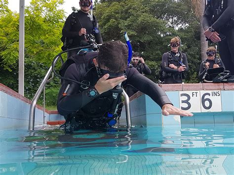 Scuba Diving Course With Seal Dive