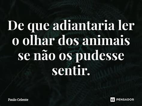 ⁠de Que Adiantaria Ler O Olhar Dos Paulo Celente Pensador