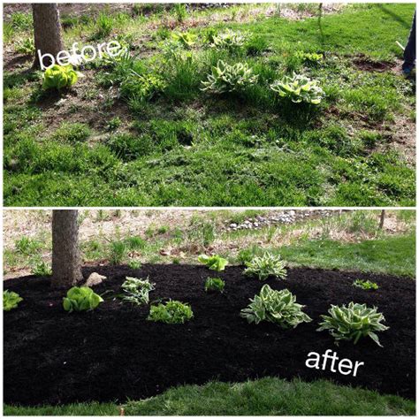 Mulch Installation Before After In Fishers 46038 A Classic Cut