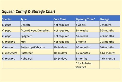 Winter Squash Harvest Curing And Storage Charts — Territorial Seed