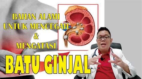 Mencegah Dan Mengatasi Batu Ginjal Dengan Menggunakan Bahan Bahan Alami