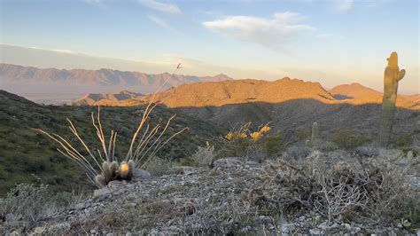 Desert Mountains Hiking - Free photo on Pixabay - Pixabay