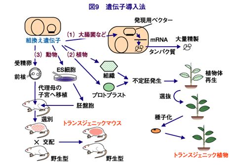 農芸化学という学問と社会