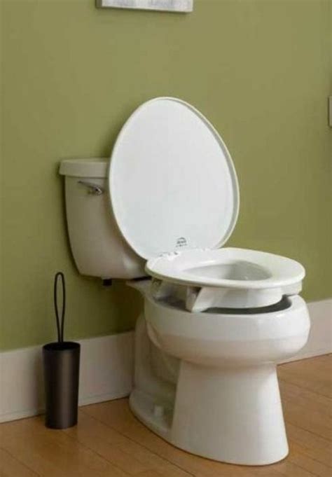 Toilet seat types – Artofit