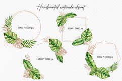 Tropical Leaves Clipart Watercolor Jungle Frames 2338205