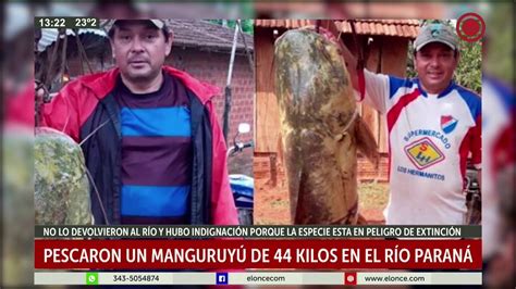 Pescaron un Manguruyú de 44 kilos en el río Paraná YouTube