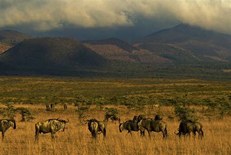 Amboseli National Park The Chyulu Hills And Taita Kenya Journeys By