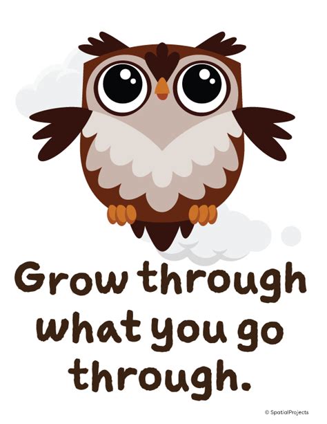 Owl Classroom Theme Posters For Back To School Bulletin Boards Owl