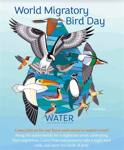 World Migratory Bird Day Event At Walden Ponds Walden Ponds Wildlife