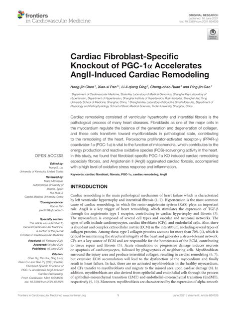 PDF Cardiac Fibroblast Specific Knockout of PGC 1α Accelerates AngII