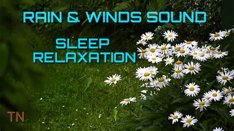 RAIN AND WINDS SOUND | SLEEP RELAXATION | STRESS RELIEVER - YouTube