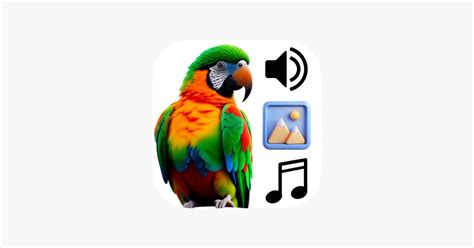 ‎parrot Sounds And Wallpapers 4k On The App Store