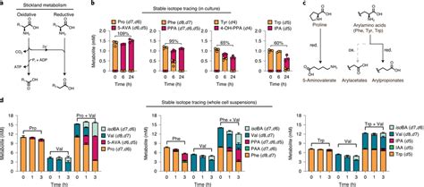 Circulating Metabolites Are Formed From Reductive Pathways For