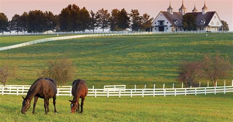 Get Away To The Bluegrass State