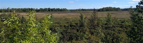 cranberry trail   ontario canada randonnee alltrails