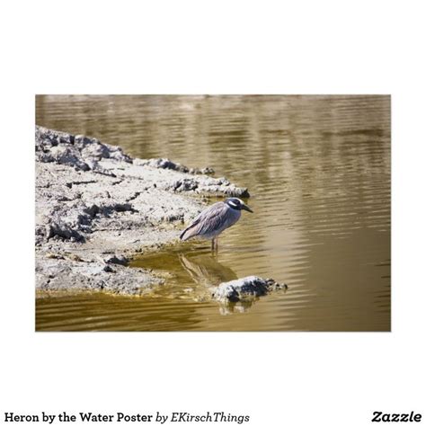 Heron by the Water Poster | Zazzle | Water poster, Poster, Art prints