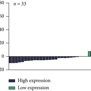 Fam A Was Highly Expressed In Cc And Enriched In Cc Cell Cytoplasm