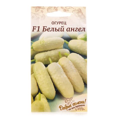 Белые огурцы сорта фото (много фото) - artshots.ru