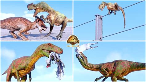 Herrerasaurus And Monolophosaurus All Perfect Animations And Interactions 🦖