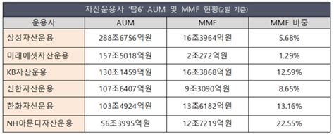 Nh아문디운용 20주년 실속없는 성장 Mmf 의존 탈피 과제 딜사이트