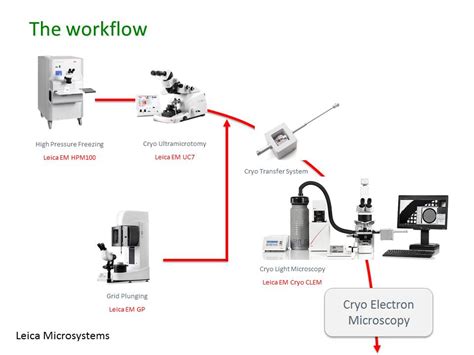 Leica Em Cryo Clem Correlating Samples In Their Native State 2017