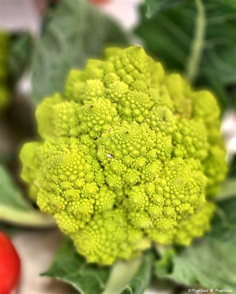 Recettes Avec Du Chou Romanesco Savoureuses Et Faciles