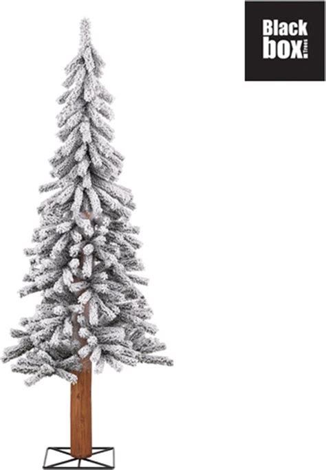 Black Box Kunstkerstboom Met Sneeuw Stockton Tree Maat In Cm X