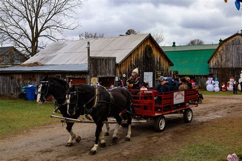 High View Farms Wagon Rides Maryboro Lodge Museum Kawartha Virtual