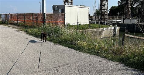 Caorle RDW Venetien Italien BERGFEX Randonnée Parcours Vénétie