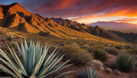 Exploring Franklin Mountains State Park in Texas - Verdant Traveler