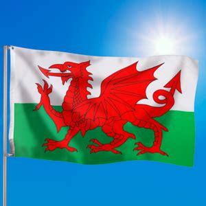 Wales Flagge Kaufen Zum G Nstigen Preis Bestellen