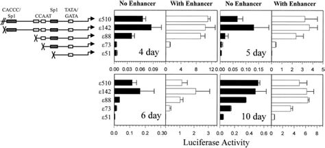 Identification Of Functional Elements Of The Chicken Globin Promoter