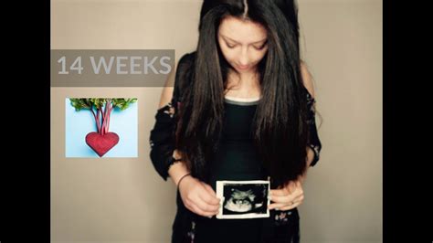 14 WEEKS PREGNANT WHAT TO EXPECT YouTube