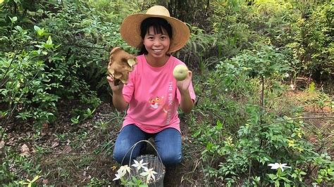 农村姑娘进山采野生菌，各种各样的蘑菇真多，小秀采得真过瘾腾讯视频