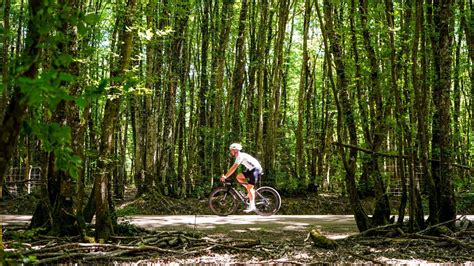 VTC Et Cyclisme Nos Circuits En Puisaye Forterre En Bourgogne