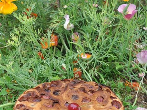 Recettes De Clafoutis Aux Cerises De Un Jardin Dans Ma Cuisine