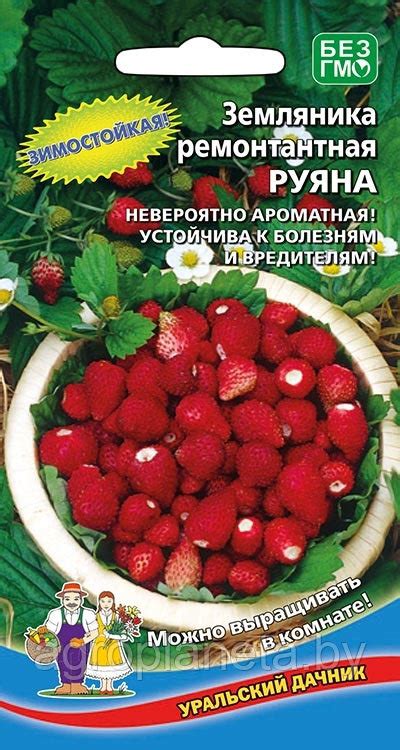 Земляника ремонтантная РУЯНА, 0.05г: семена, семена овощных культур ...