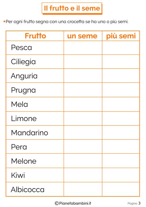 Il Frutto E Il Seme Schede Didattiche Per La Scuola Primaria