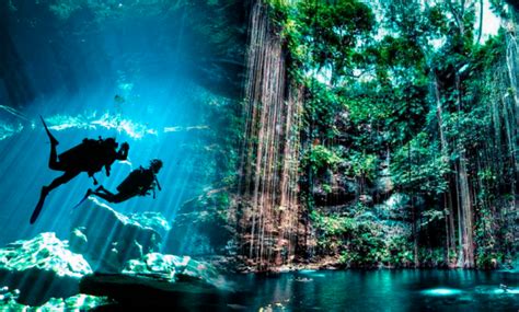 Estos Son Los Cenotes M S Impresionantes De M Xico El Momento Tabasco