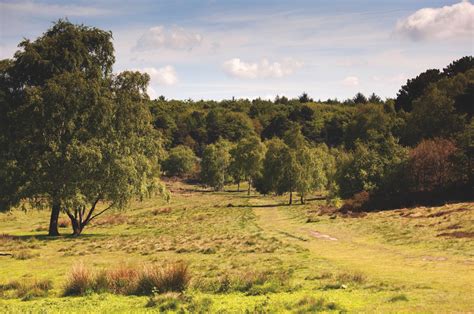 Walk: Sutton Park, West Midlands - Countryfile.com