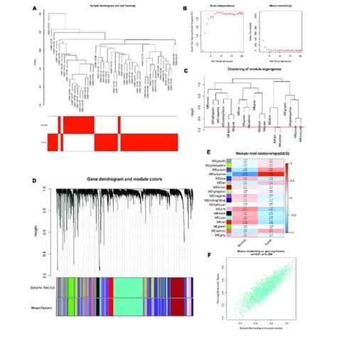 Identification Of Modules Associated With The Clinical Information In