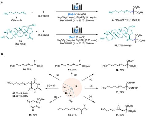 Decagram scale synthesis and product transformations. a, Decagram scale... | Download Scientific ...