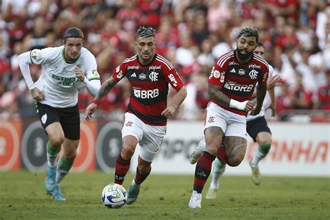 Estatísticas Flamengo x América MG promessa de jogo muitos gols