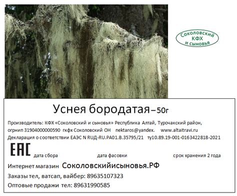 Уснея бородатая - 50г - Алтайские травы