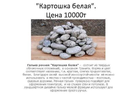 Картошка белая Цена 10000 т Галька речная Картошка