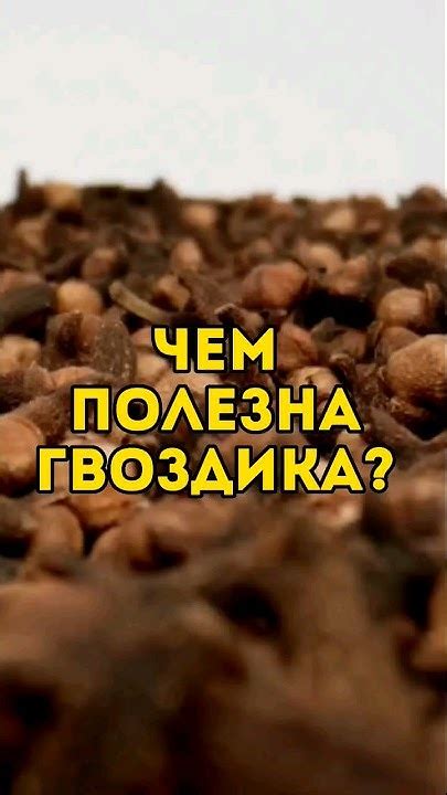 Чем полезна гвоздика для организма человека и как ее принимать # ...