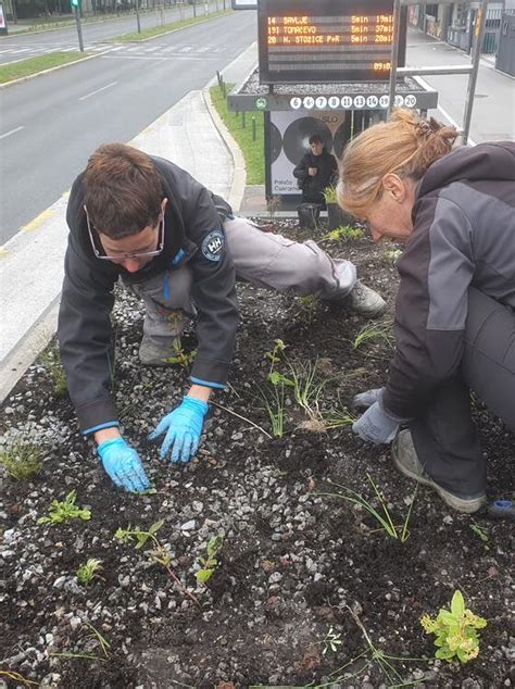 Permanent Measure Emw Planting Bus Stop Roofs City Of Ljubljana