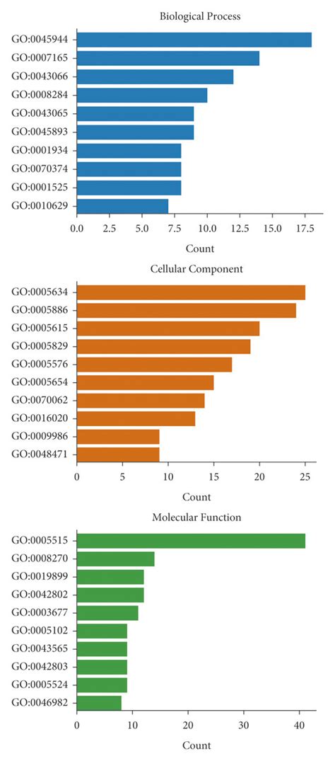 The Diagram Of The GO Enrichment Analysis The Y Axis Represents GO